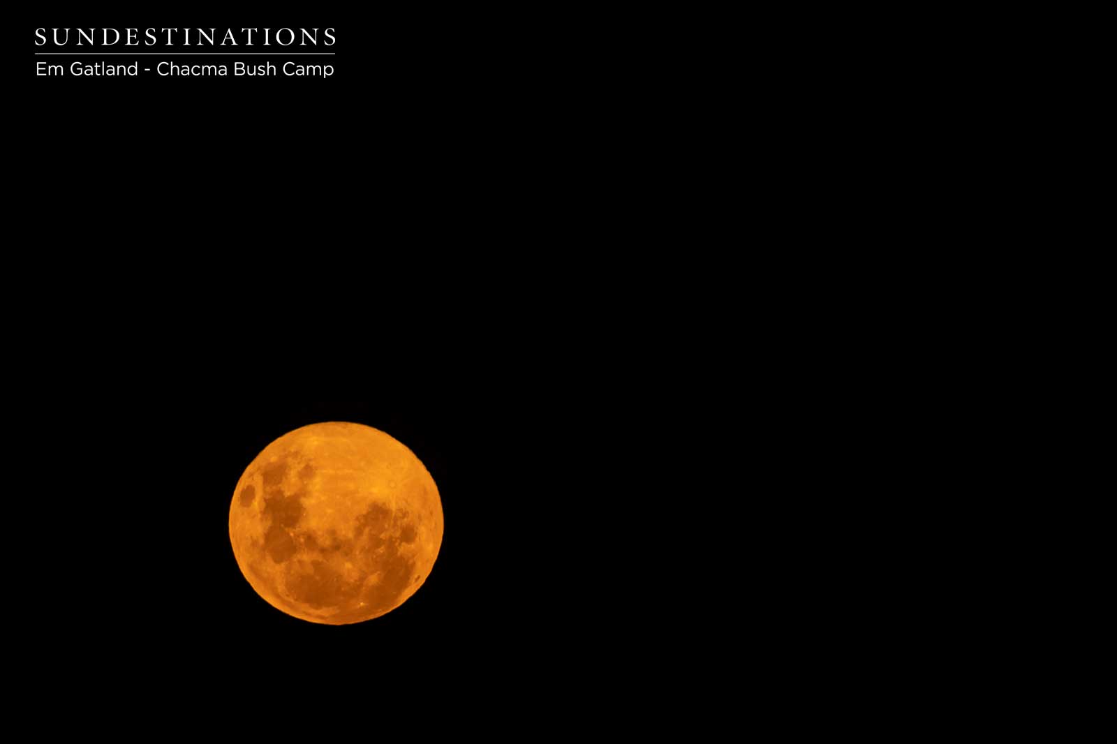 Full Moon at Chacma Bush Camp Full Moon at Chacma Bush Camp