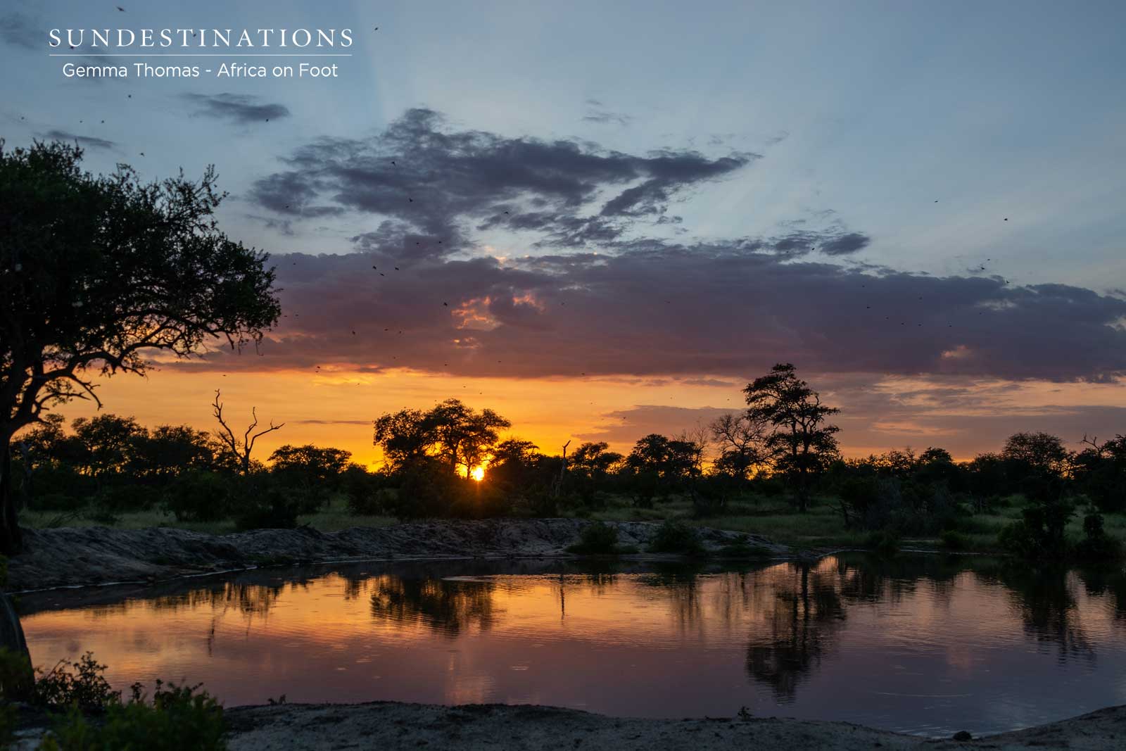 Waterhole at AFrica on Foot Waterhole at AFrica on Foot