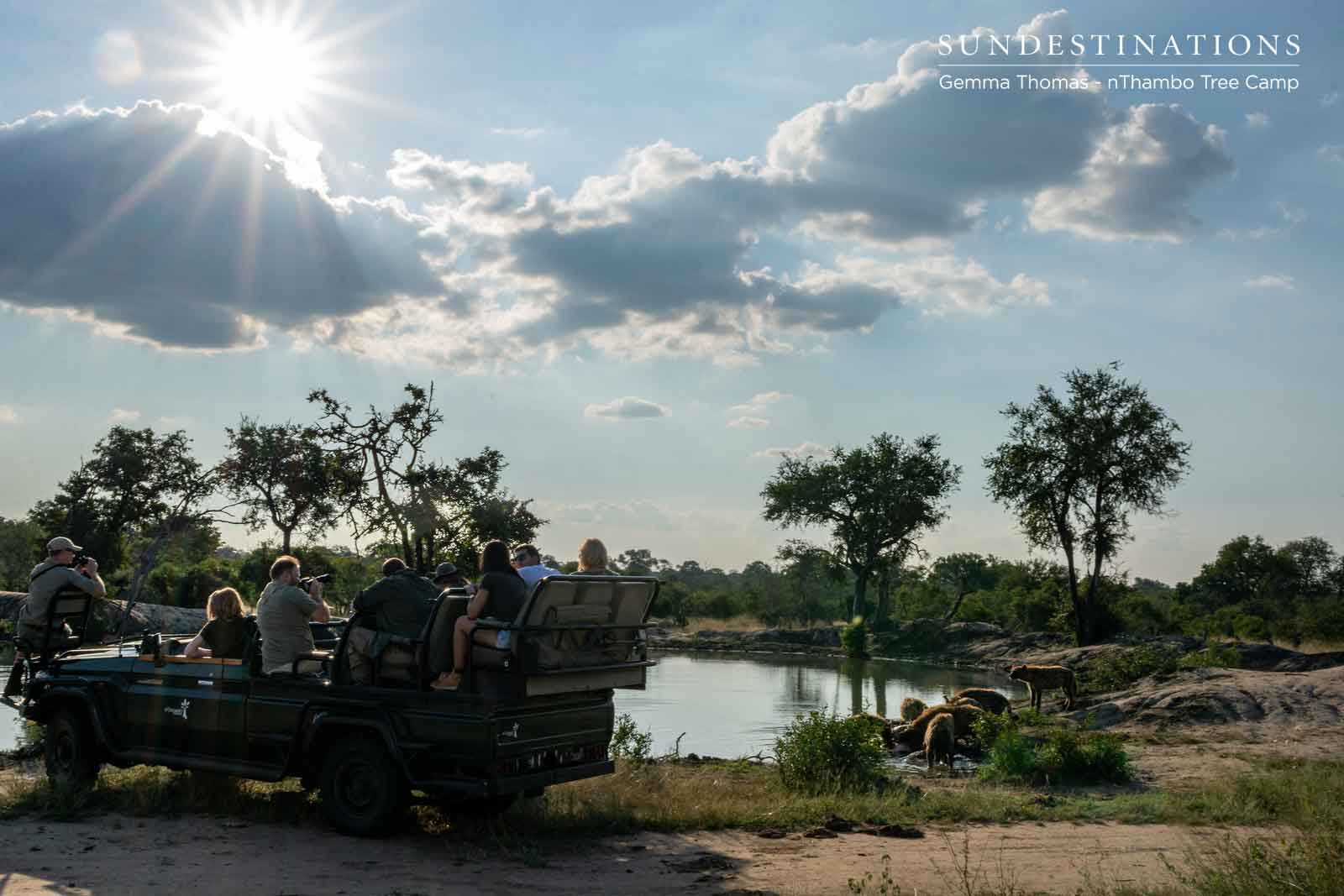 nThambo Game Drive with Hyenas nThambo Game Drive with Hyenas