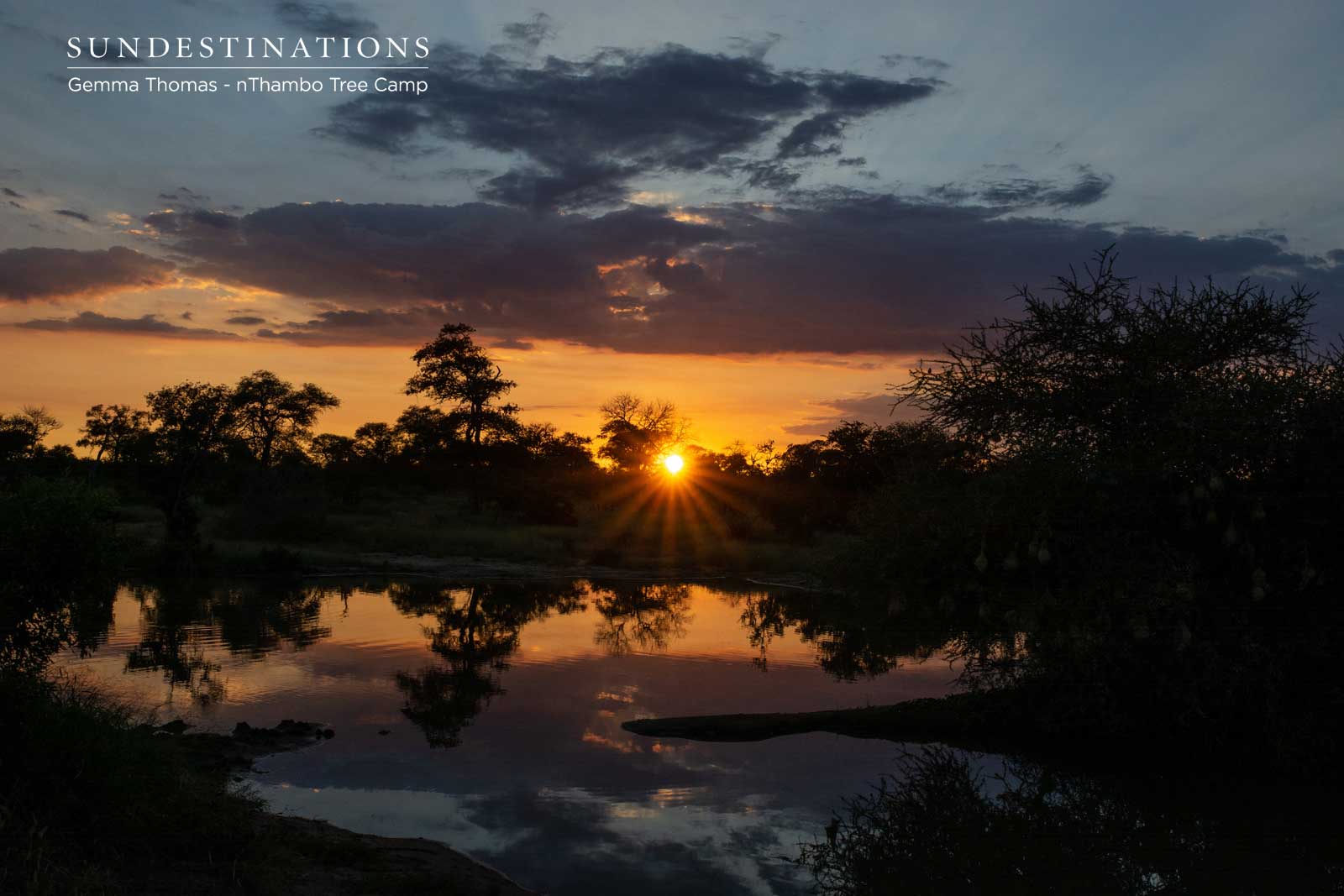 nThambo Sunset at Waterhole nThambo Sunset at Waterhole