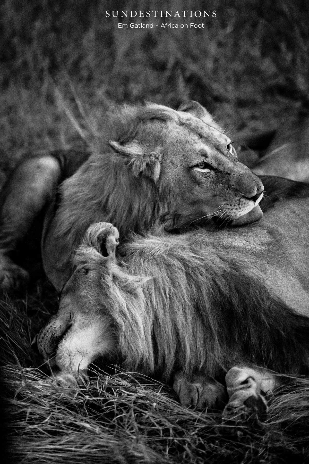 Africa on Foot River Pride Africa on Foot River Pride