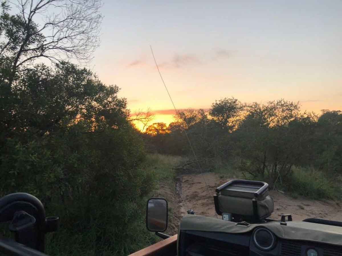 Game Drives at Umkumbe Safari Lodge Game Drives at Umkumbe Safari Lodge