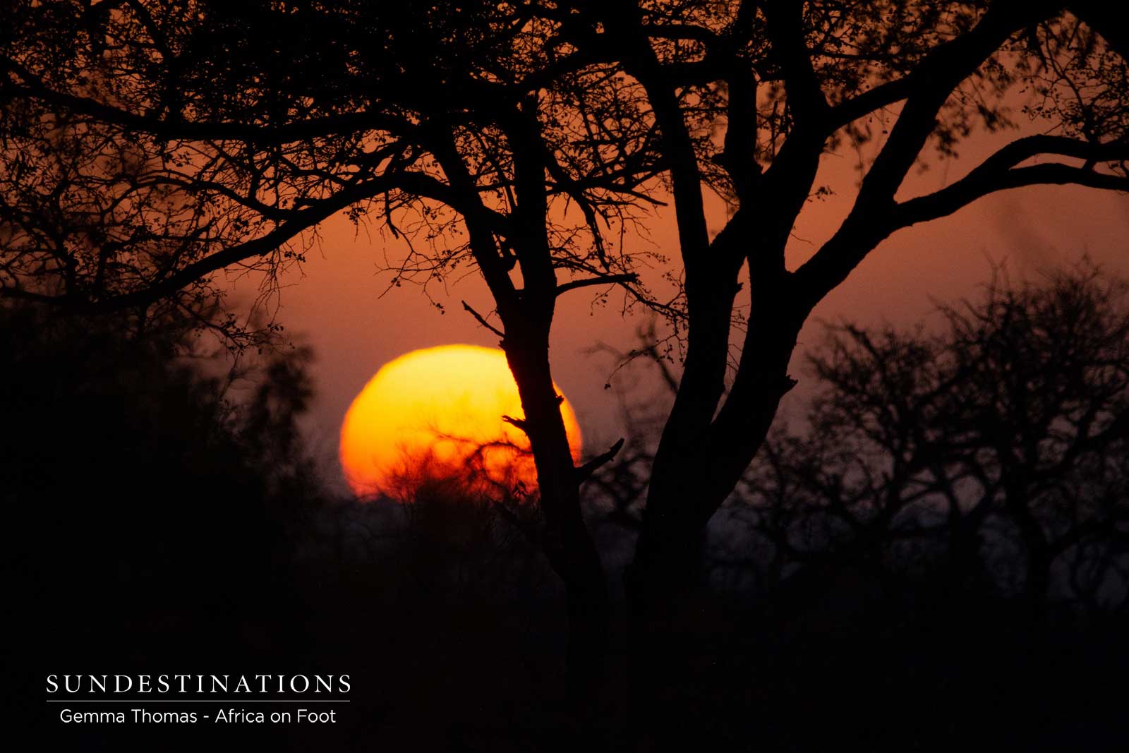 Sunsets at Africa on Foot Sunsets at Africa on Foot