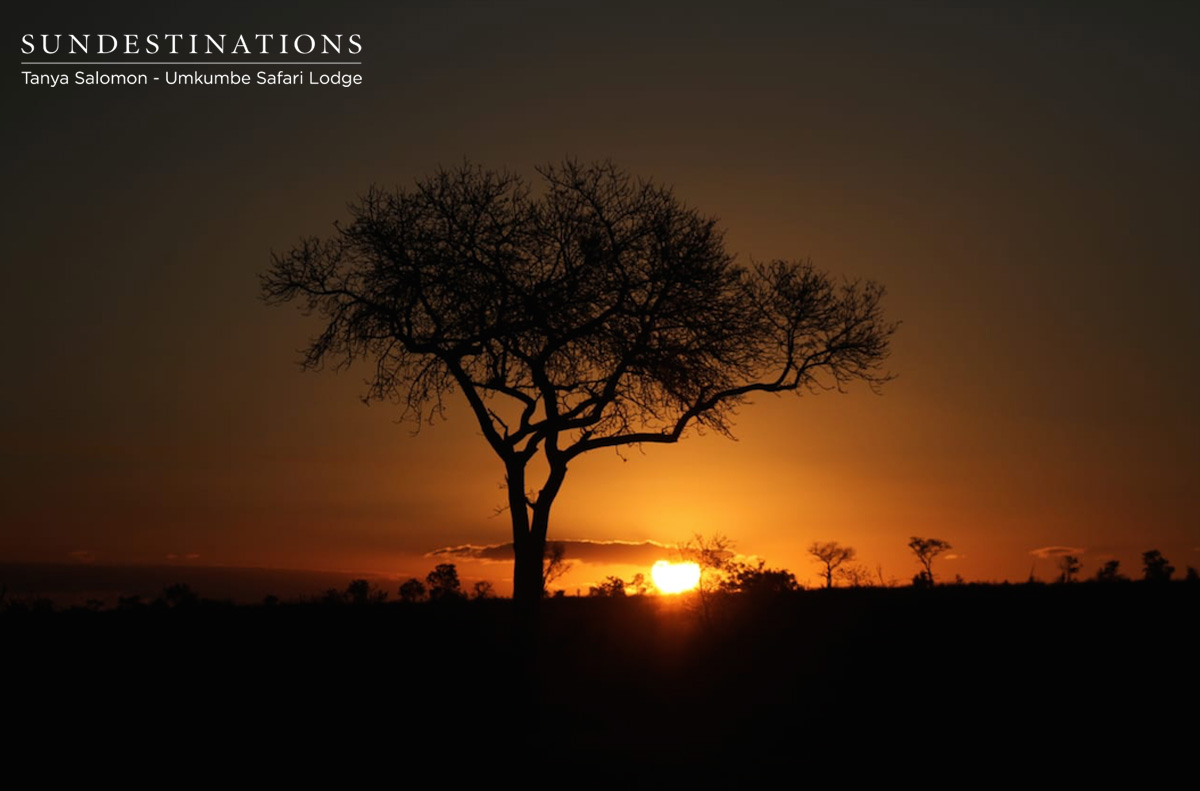 Umkumbe Safari Lodge Sunsets Umkumbe Safari Lodge Sunsets