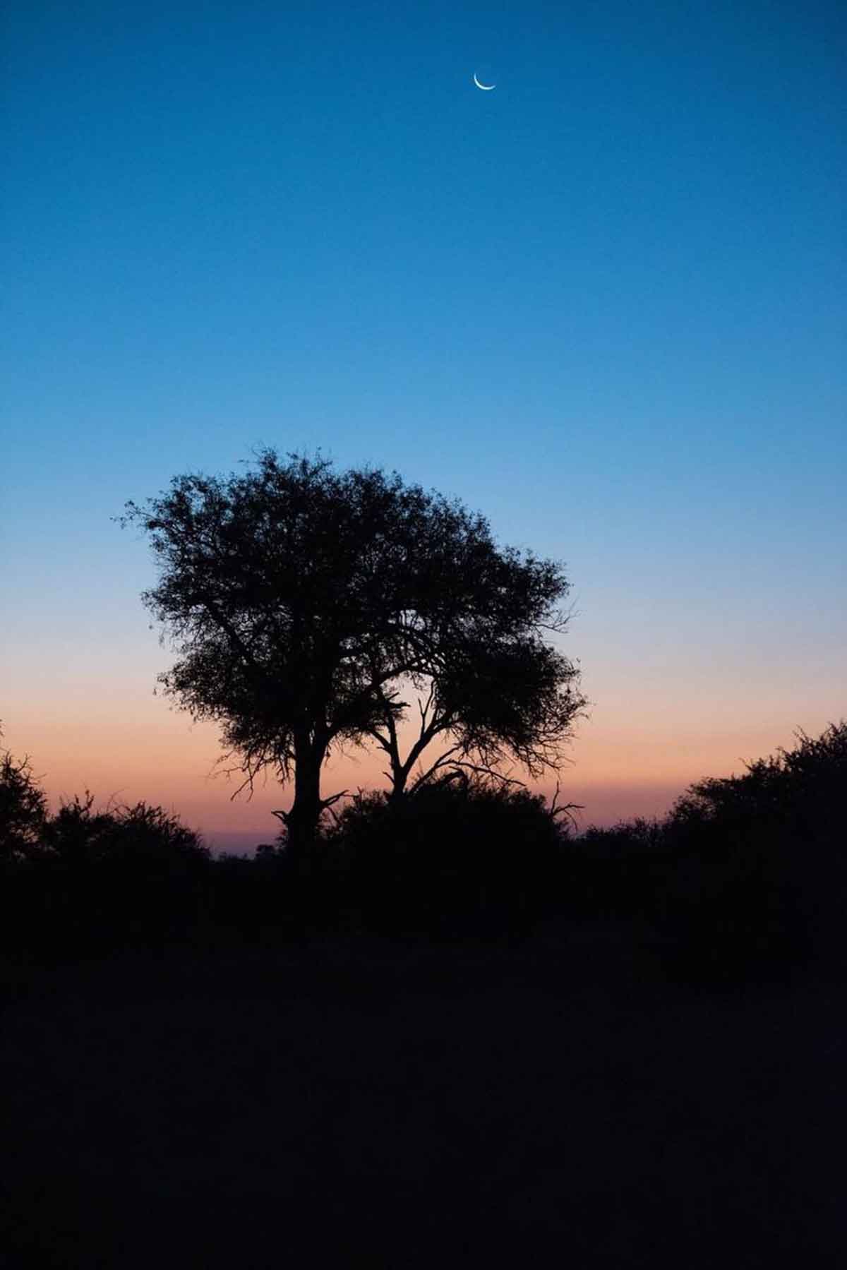 nThambo Sunset nThambo Sunset