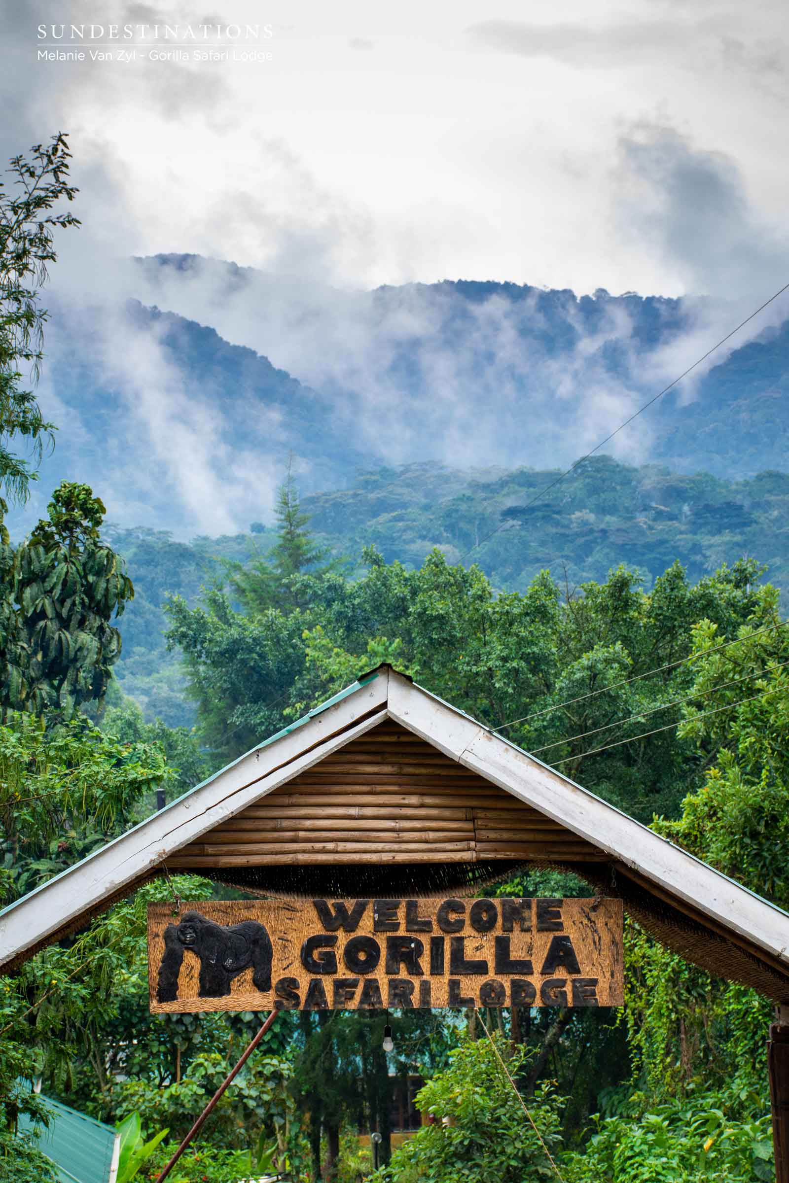 Gorilla Safari Lodge Conservation Gorilla Safari Lodge Conservation