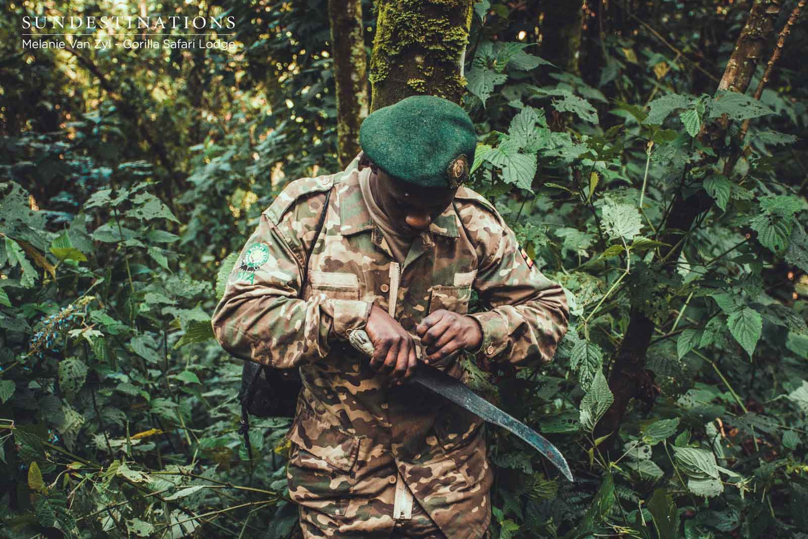 Gorilla Trekking Porter Bwindi Gorilla Trekking Porter Bwindi