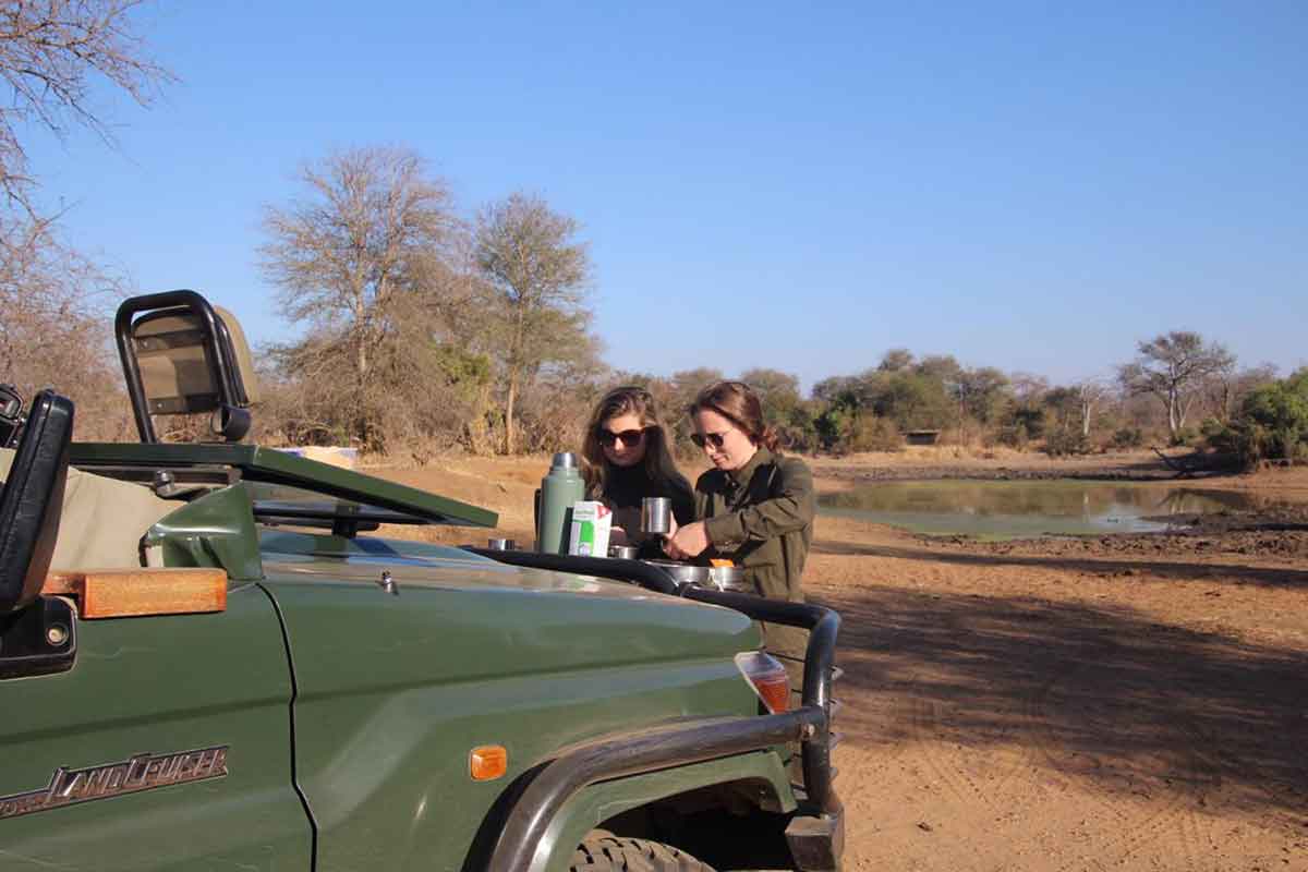 Guest Safari Review Game Drive Guest Safari Review Game Drive