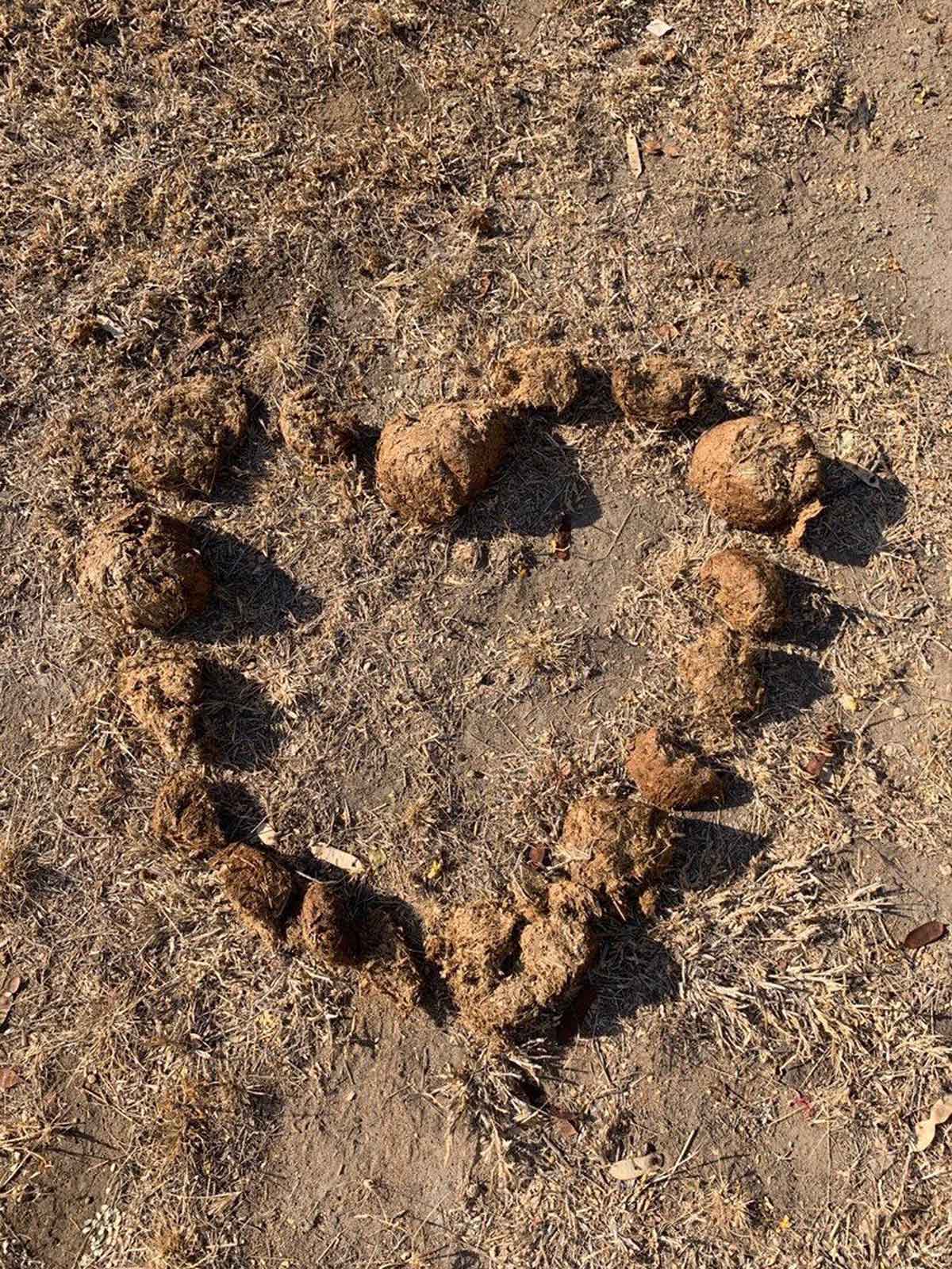 Heart Circle of Dung Heart Circle of Dung