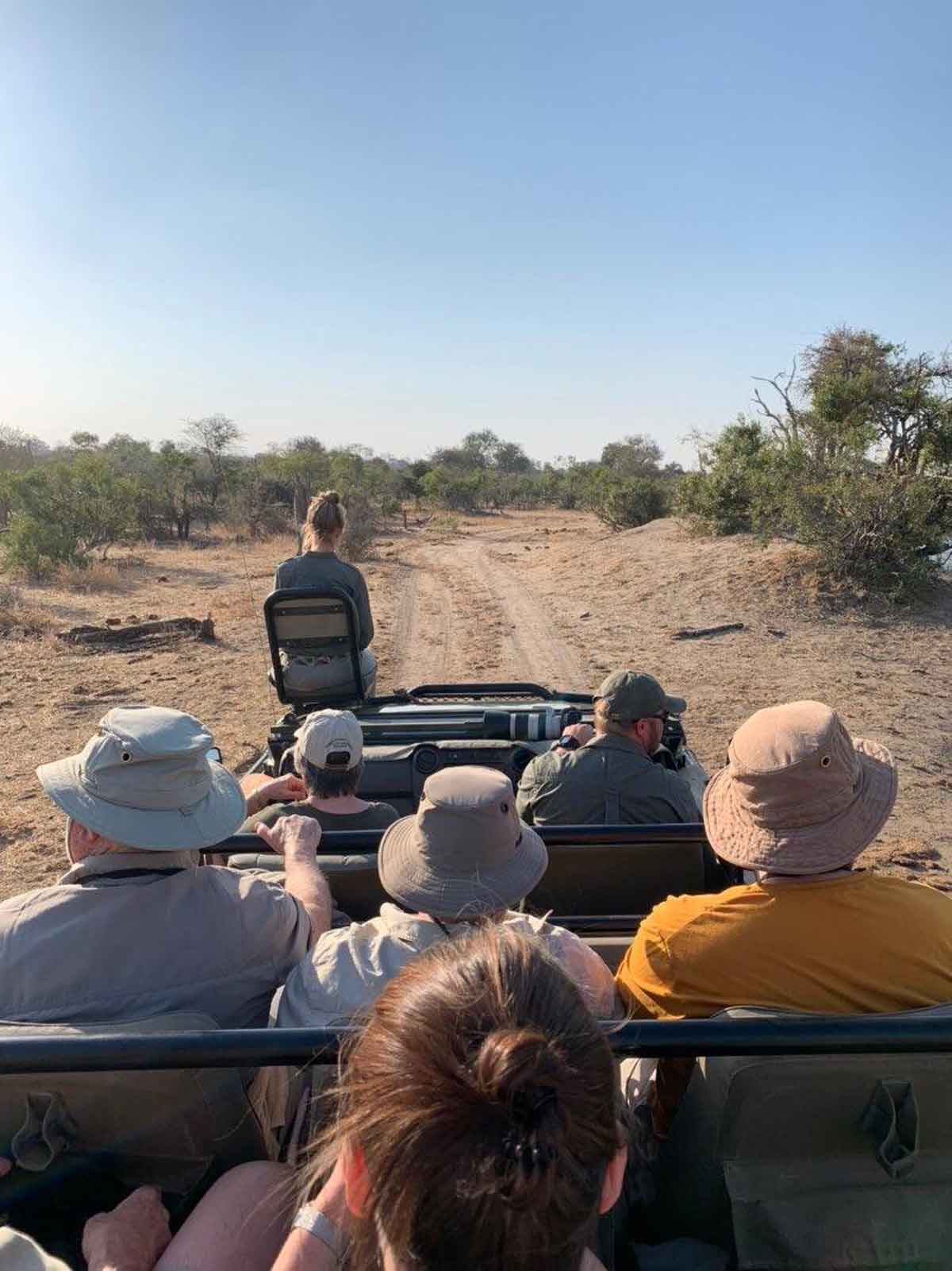 Game Drives at nThambo Game Drives at nThambo