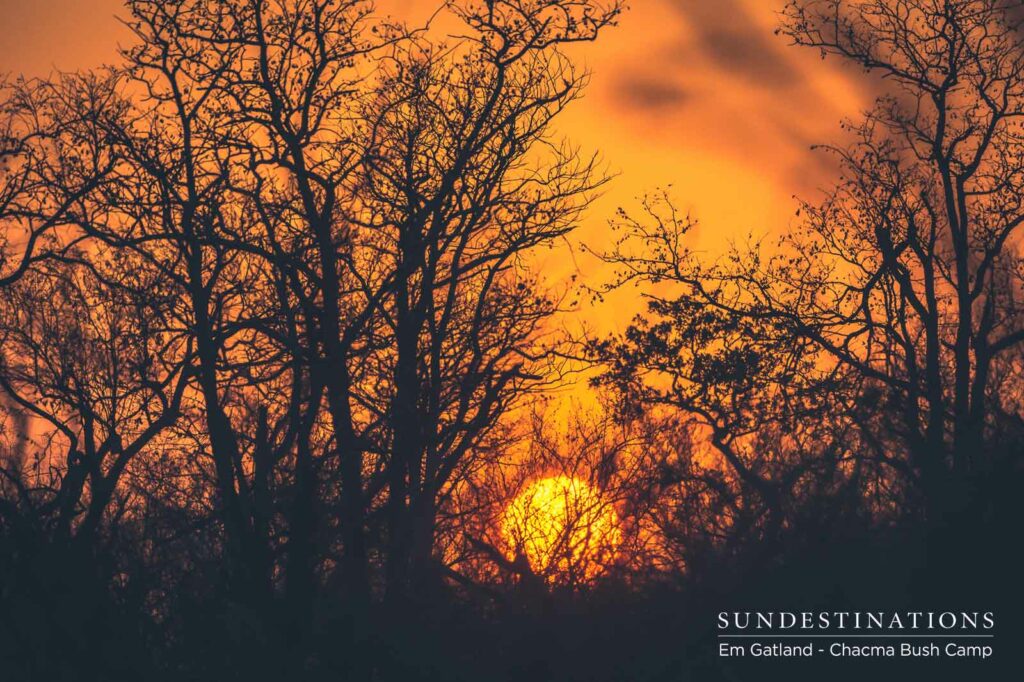 Chacma Sunset and Landscapes
