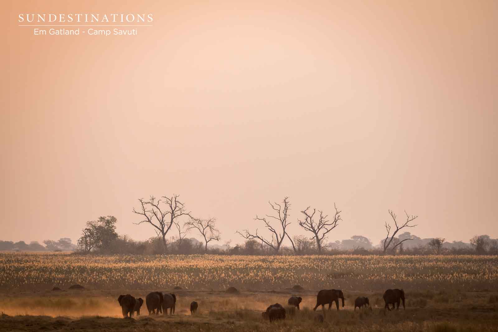 Camp Savuti in Botswana Camp Savuti in Botswana