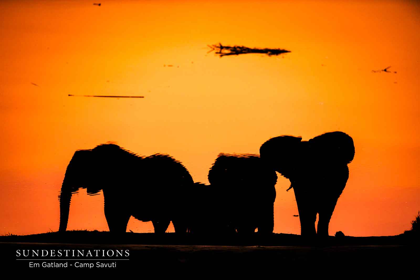 Camp Savuti Botswana Camp Savuti Botswana