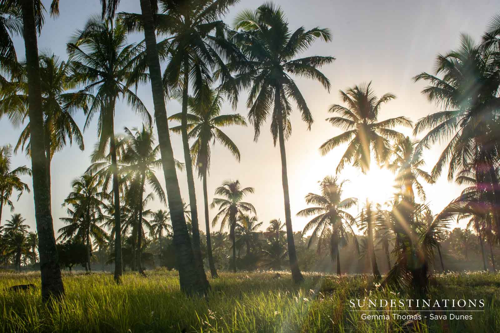 Tropical Landscapes Tropical Landscapes