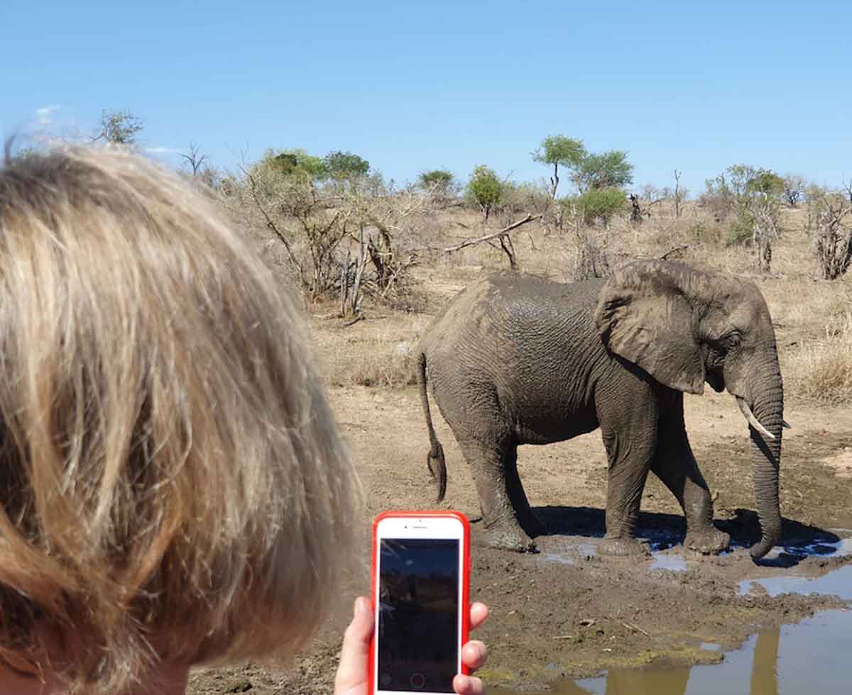 Game Drives at Walkers Bush Villa Game Drives at Walkers Bush Villa