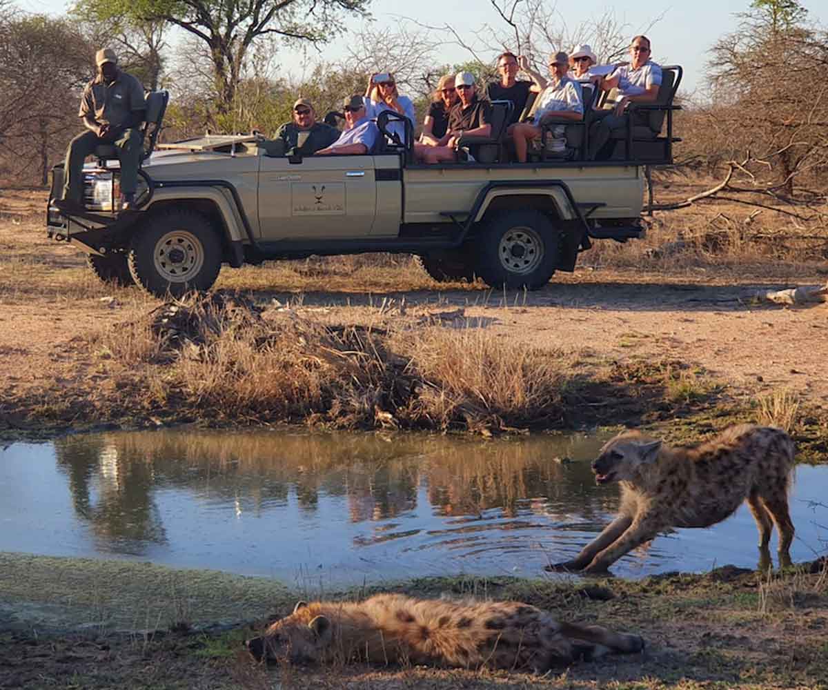 Walkers Hyena Game Drives Walkers Hyena Game Drives
