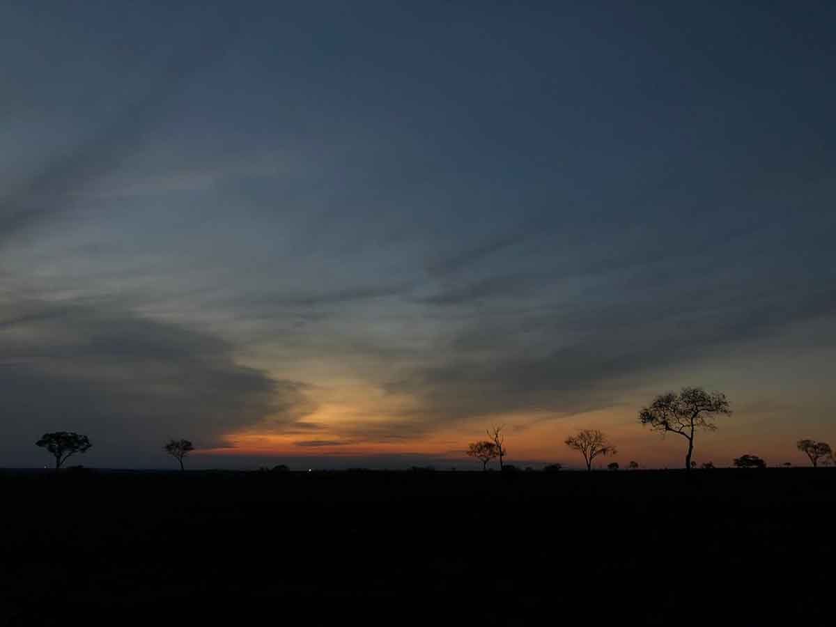 Skyline of the Kruger Skyline of the Kruger