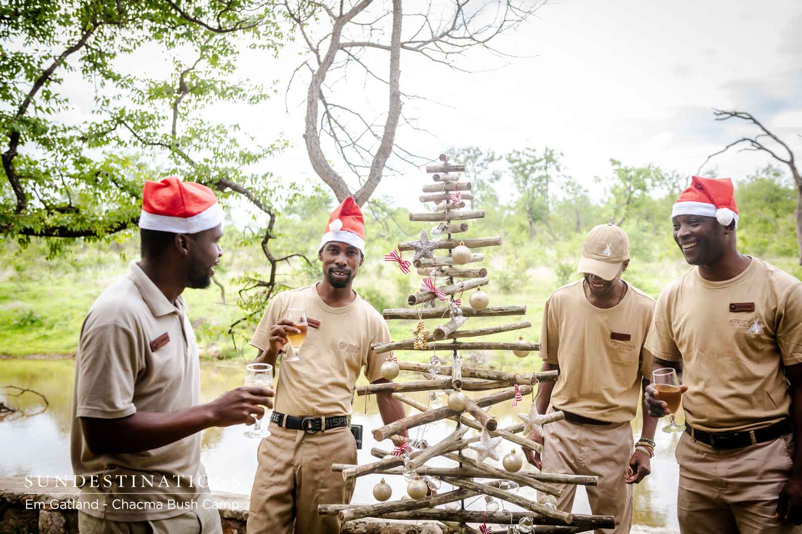 Trees at Chacma Bush Camp Trees at Chacma Bush Camp