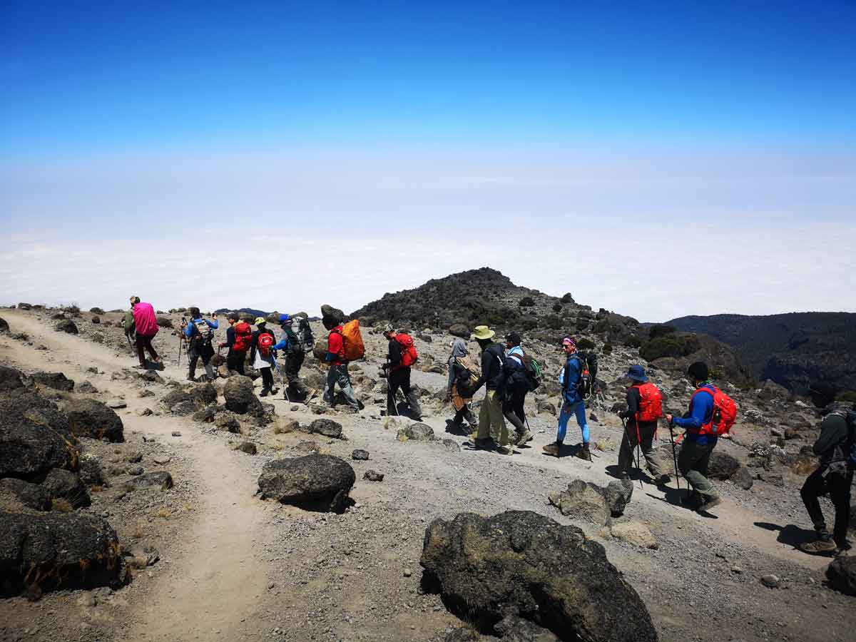 #TwoBirdsOneMountain Kilimanjaro Hike #TwoBirdsOneMountain Kilimanjaro Hike