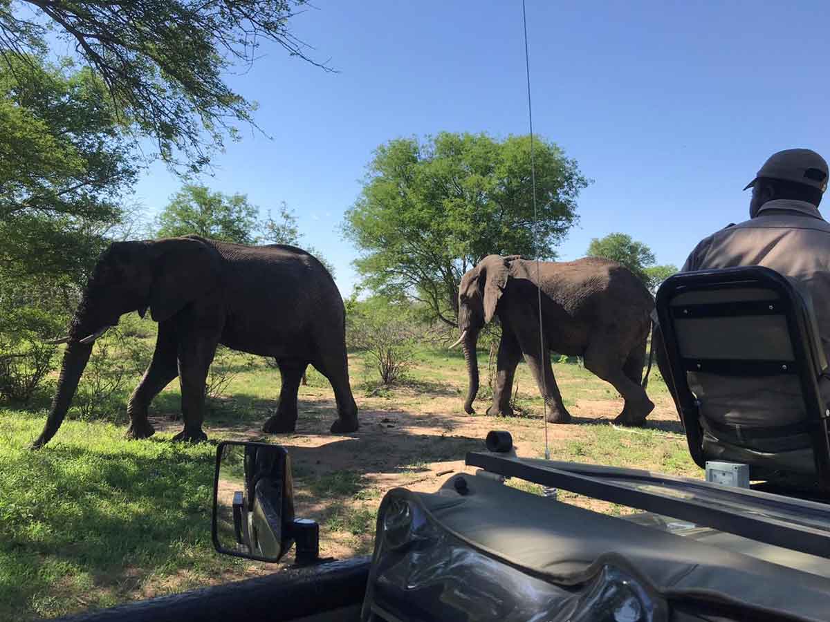 Mega Educational with Agents Mega Educational with Agents