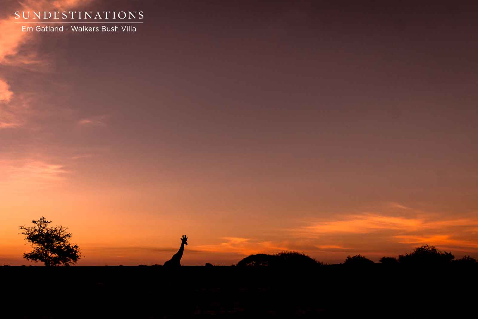 Walkers Bush Villa Sunsets Walkers Bush Villa Sunsets