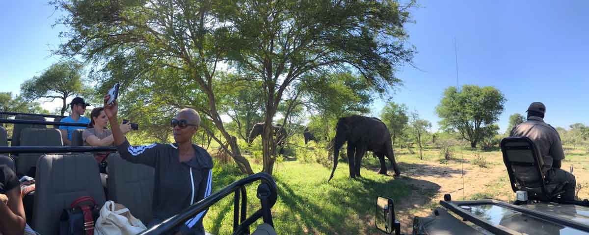 Walkers Bush Villa Agents Walkers Bush Villa Agents