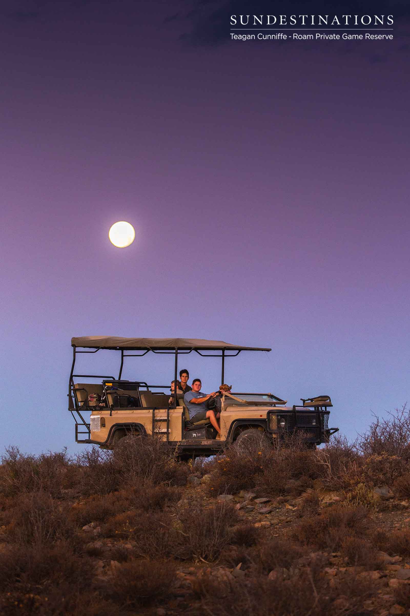 Roam Private Game Reserve Game Drives Roam Private Game Reserve Game Drives
