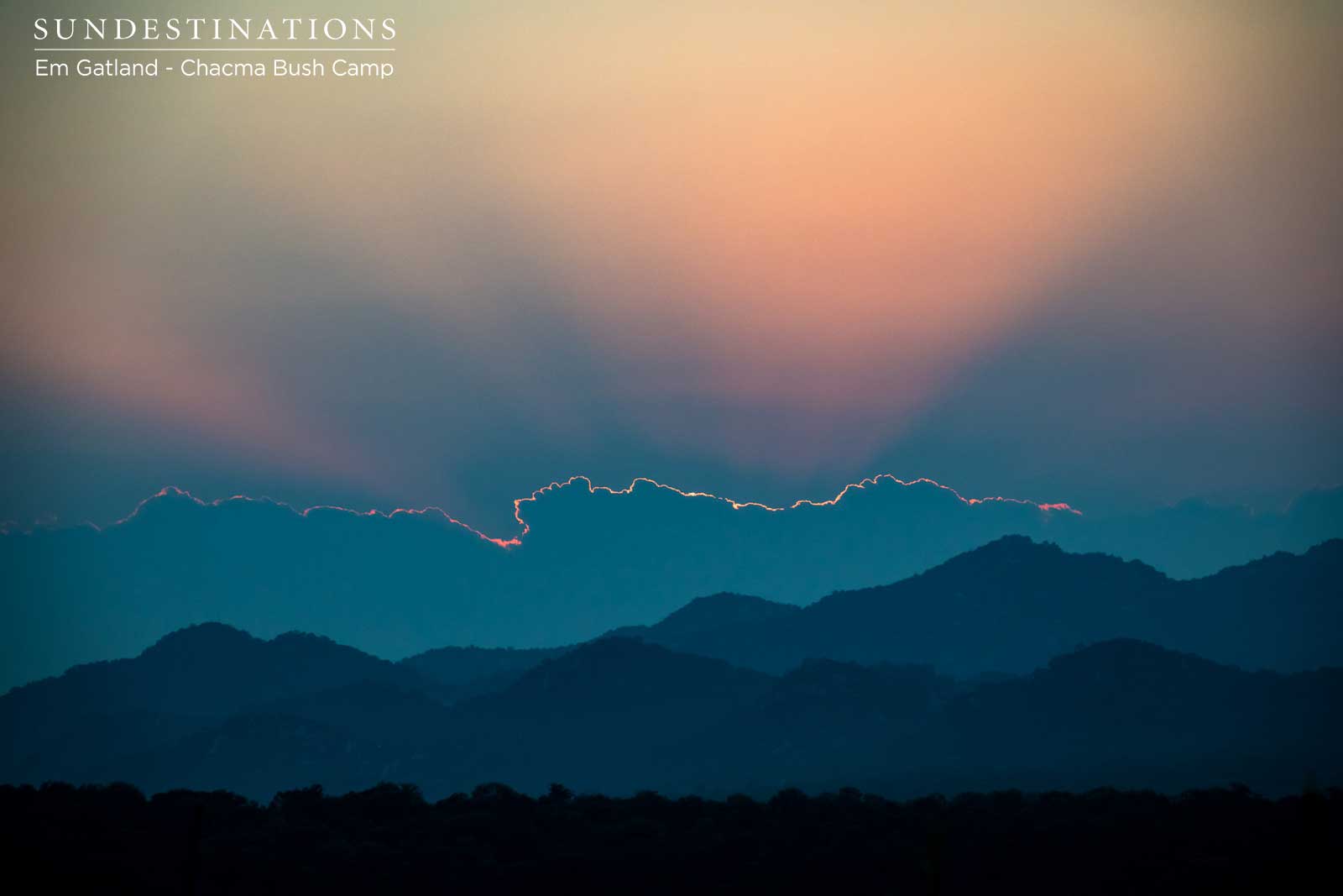 Chacma Bush Camp Horizon Chacma Bush Camp Horizon