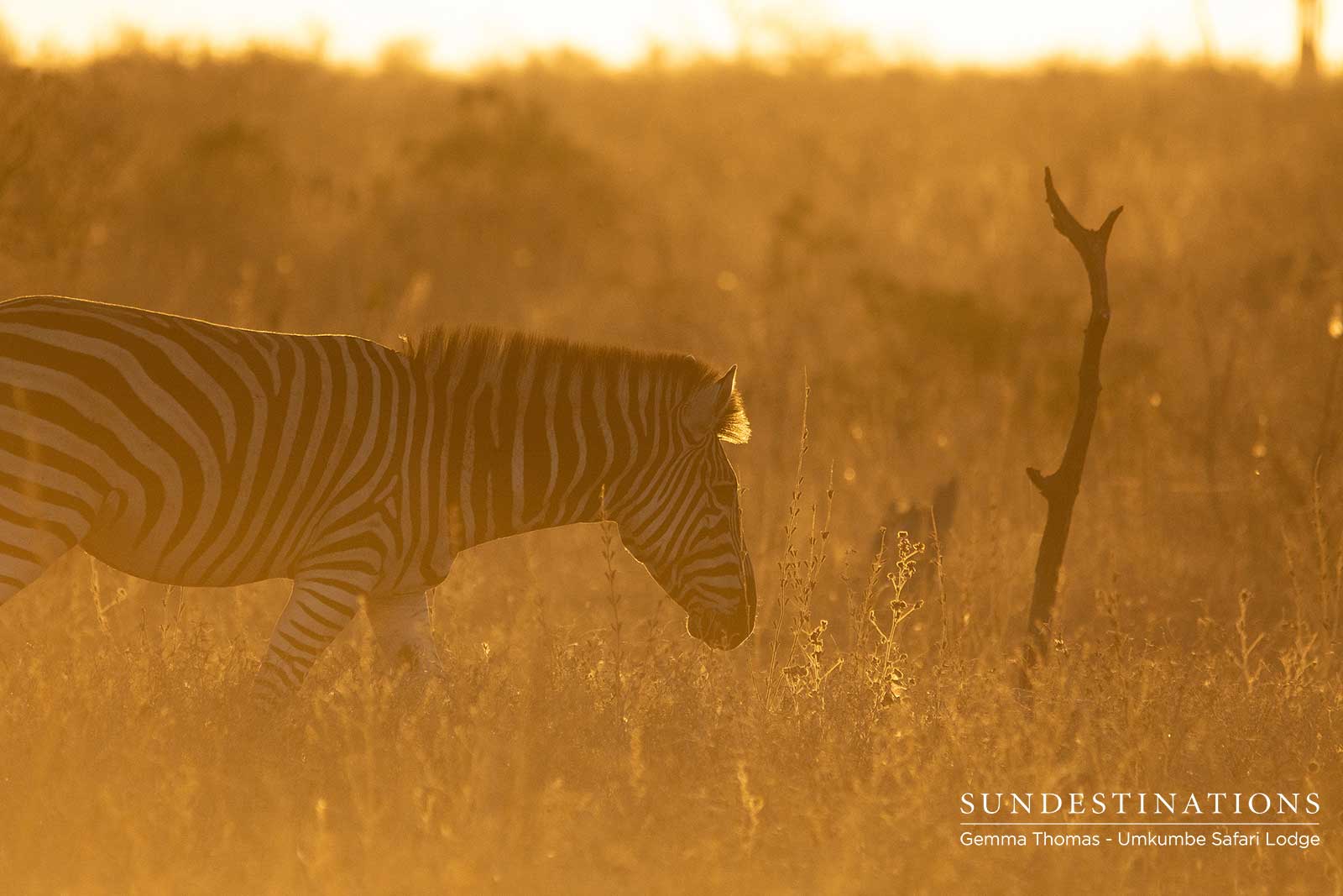 Hazy Sunsets at Umkumbe Hazy Sunsets at Umkumbe