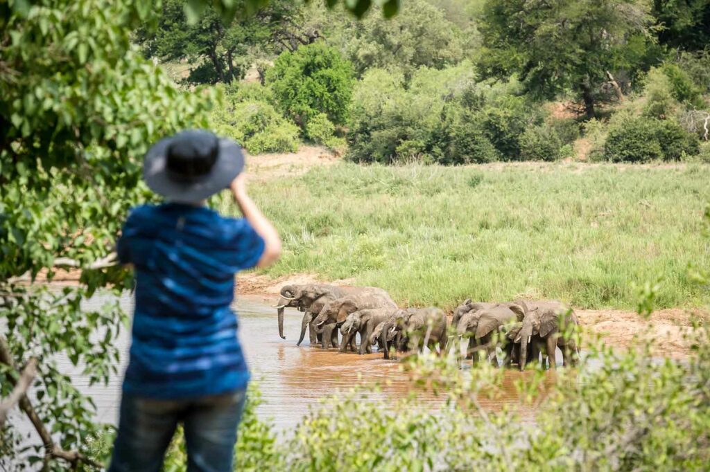 Africa On Foot Wilderness Trails