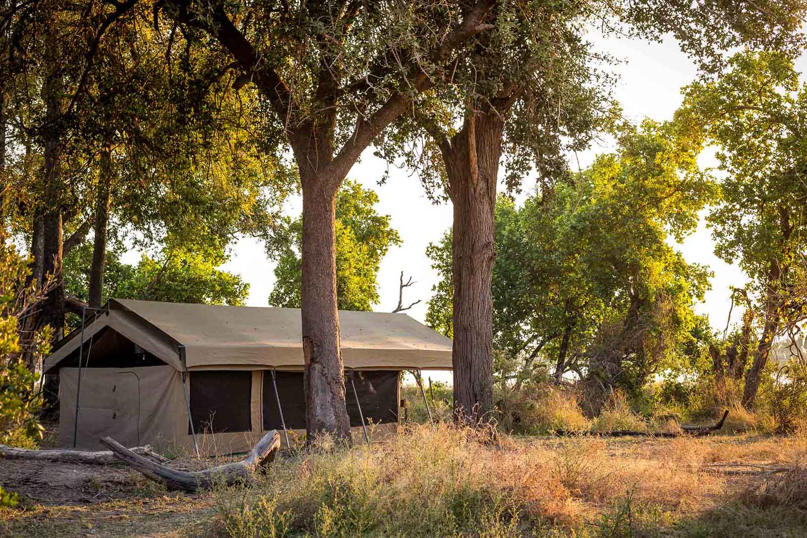 Mboma Meru Style Tent