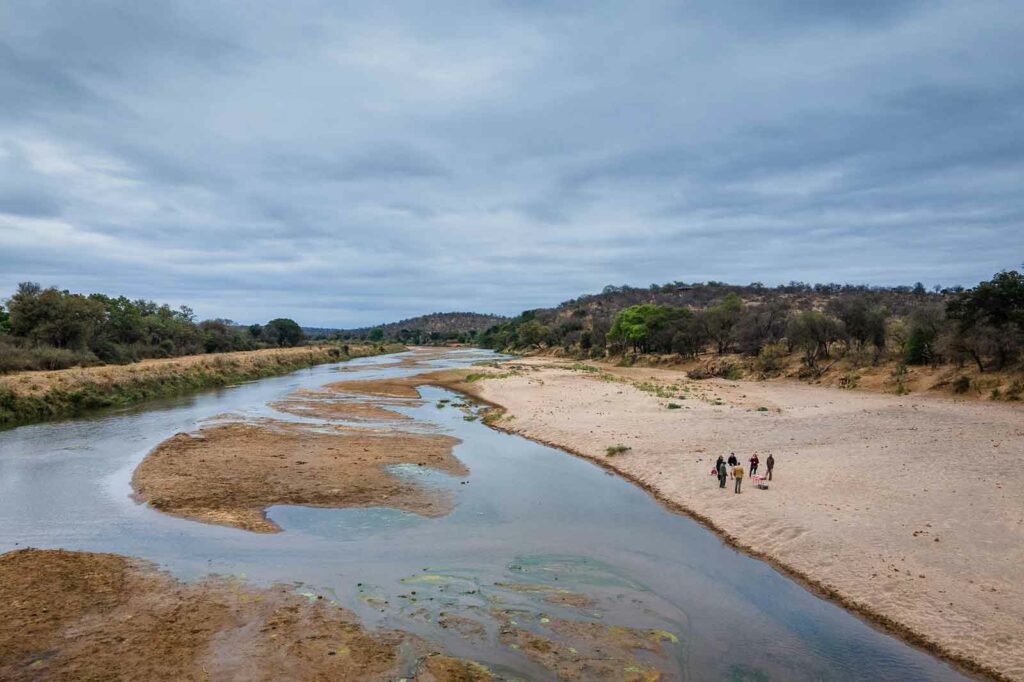 Bush Walk Along the River