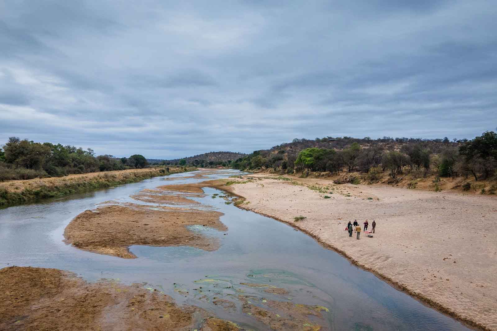 Bush Walk Along the River