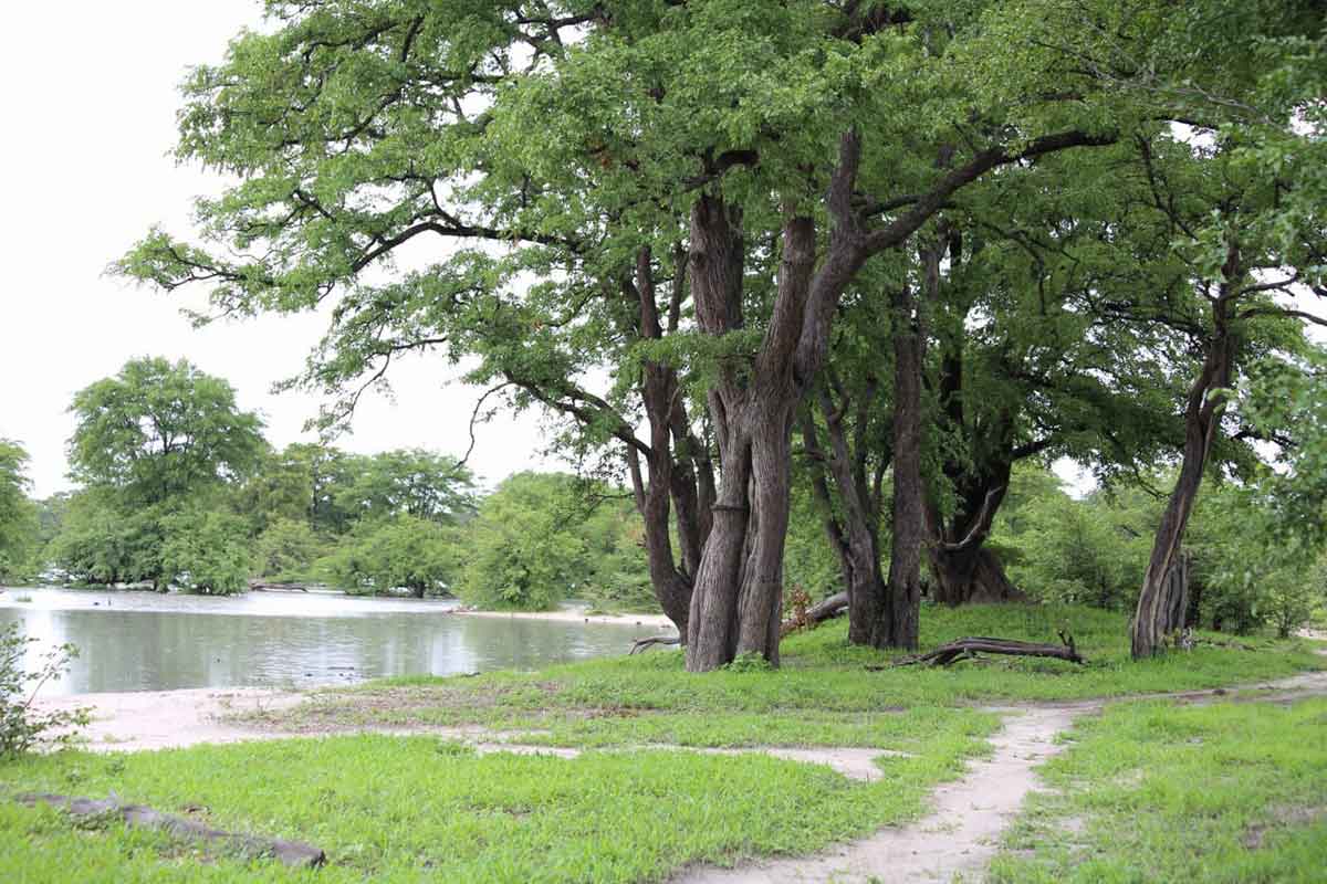 Mankwe Scenes Waterhole