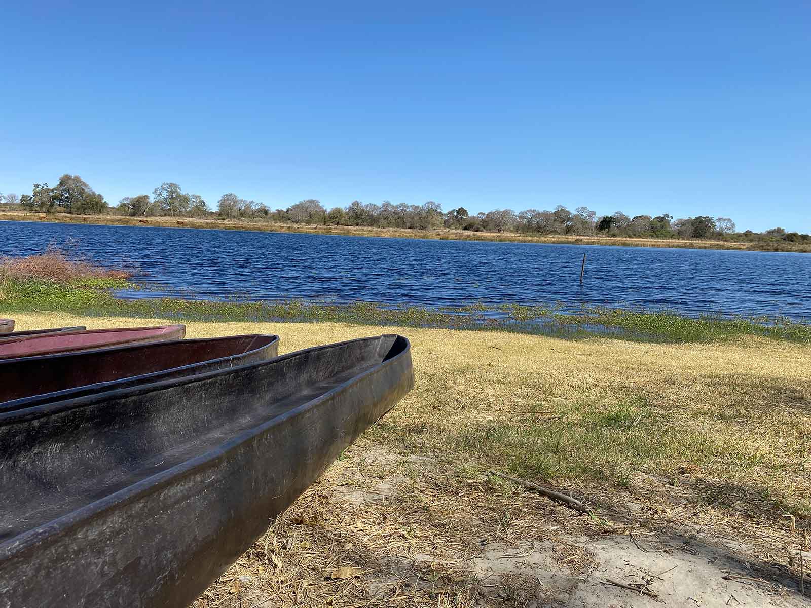 Mokoro on the Boteti River