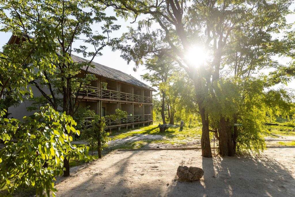 Chobe Mopani in Ksane Forest