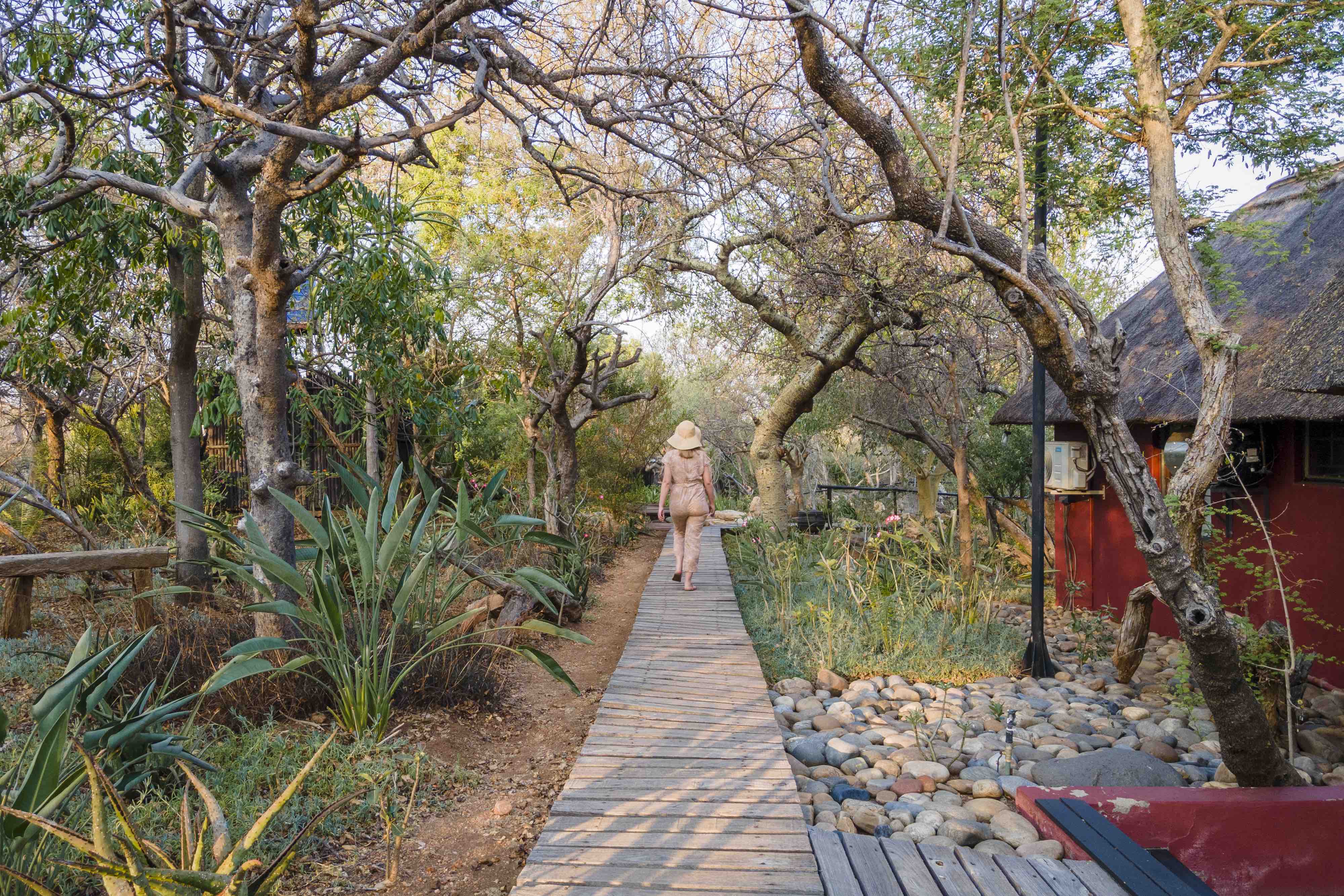 Wooden Walkways at Nambu