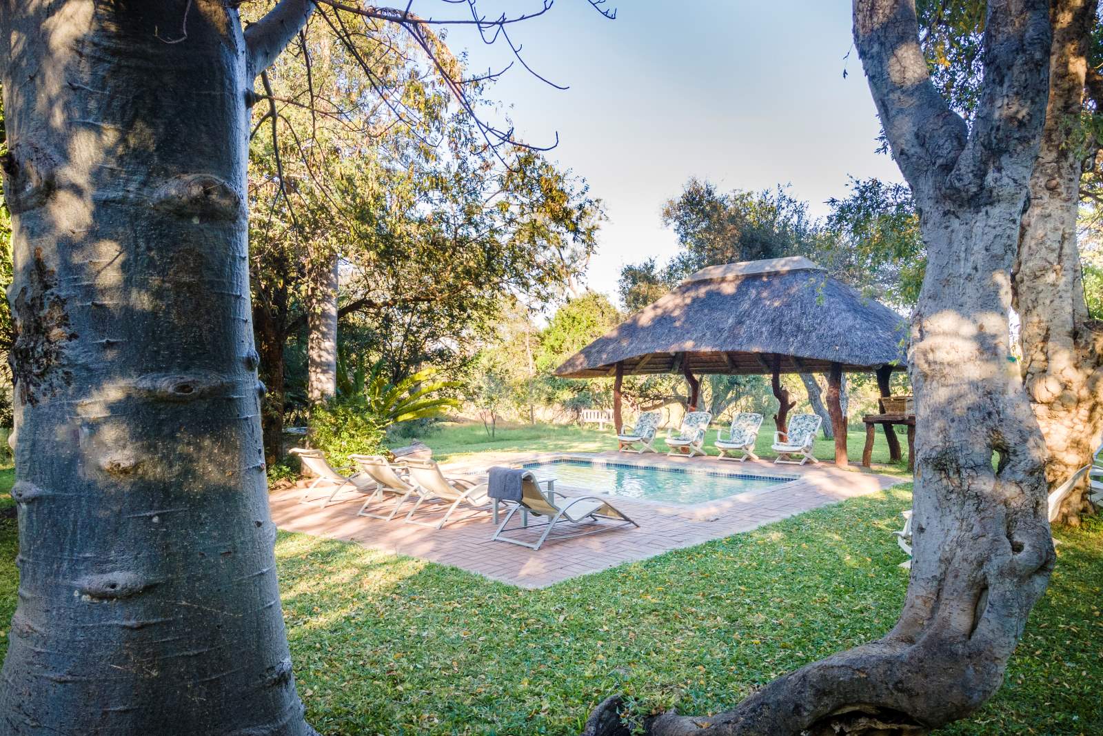 Nyala Lodge Swimming Pool