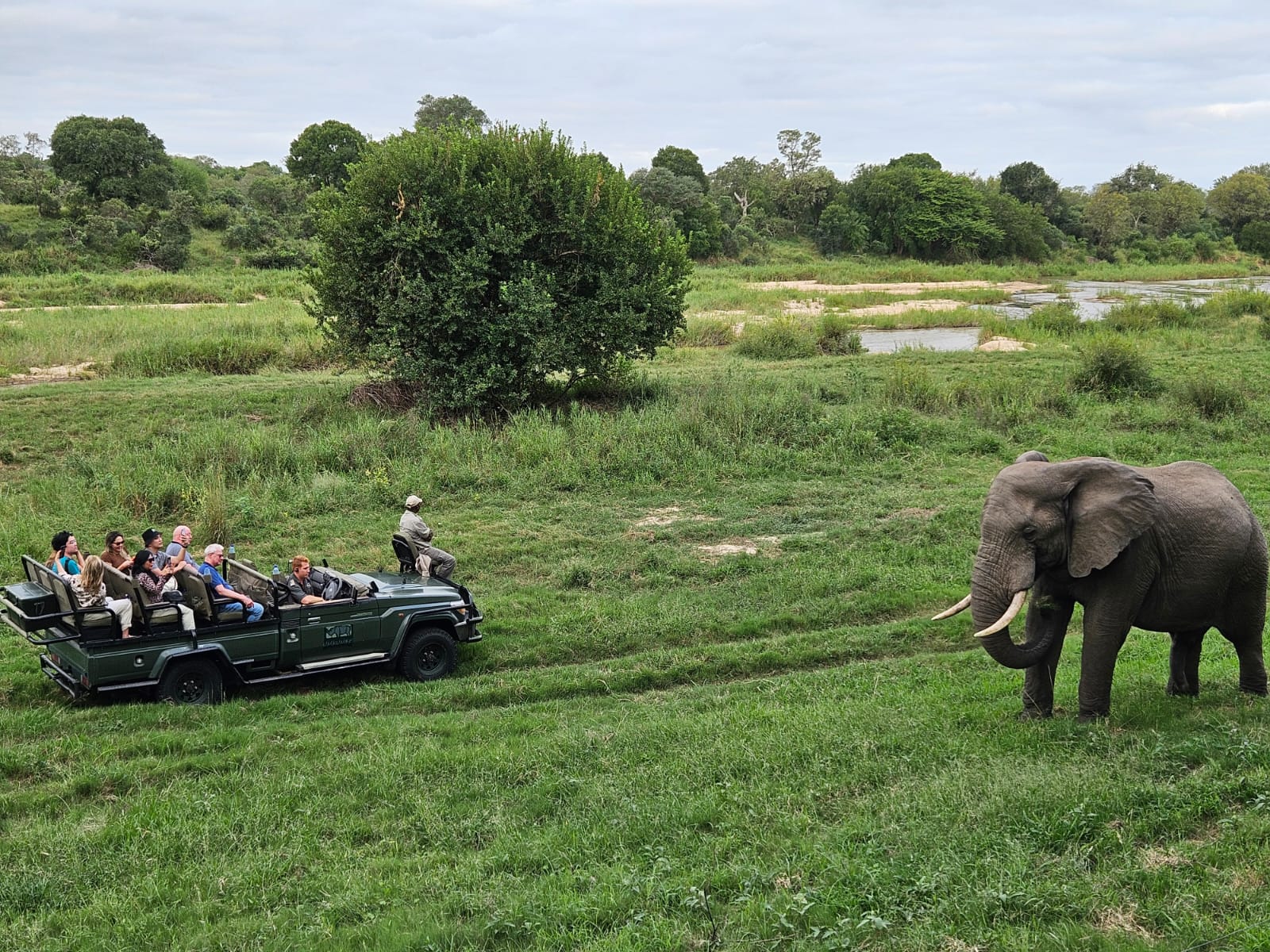 Elephants and Game Drives at Umkumbe