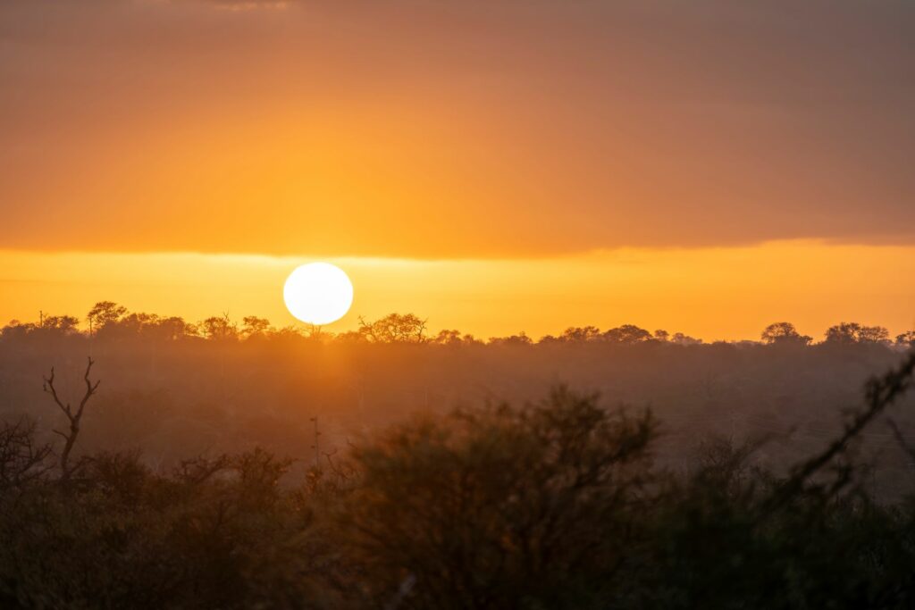 Nyala Sunset