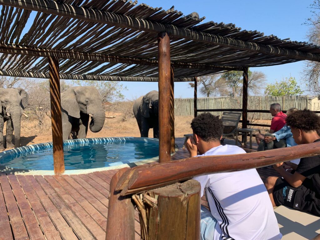 Africa on Foot swimming pool