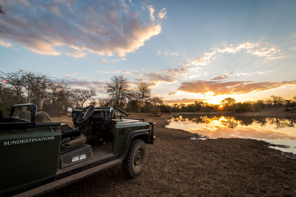 African safari