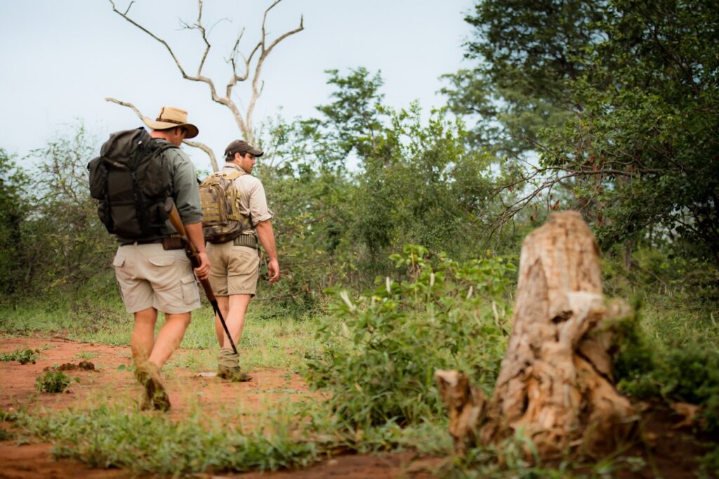 Walking safari