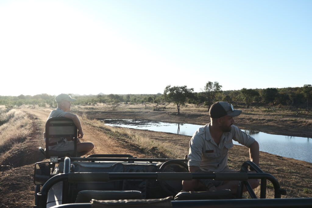 guides on a game drive