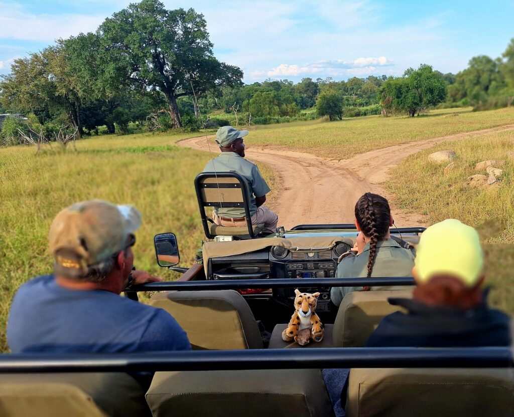 Guided game drive 