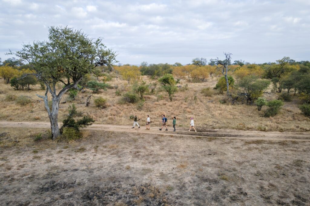 walking on foot at Africa on foot