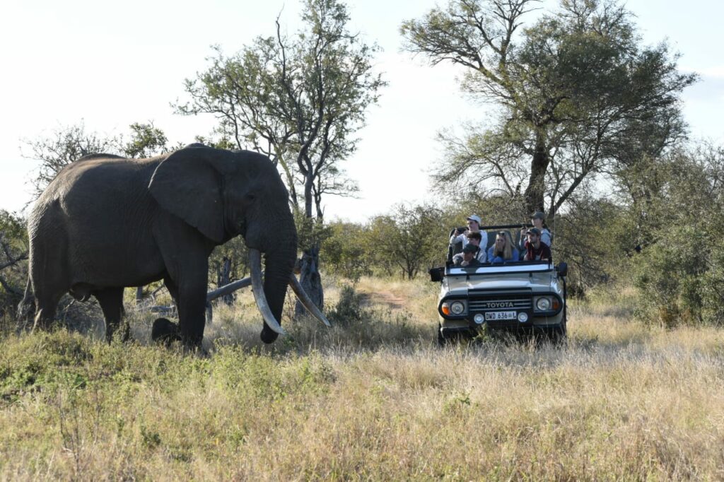 Christelle guide from Nyala Safari Lodge