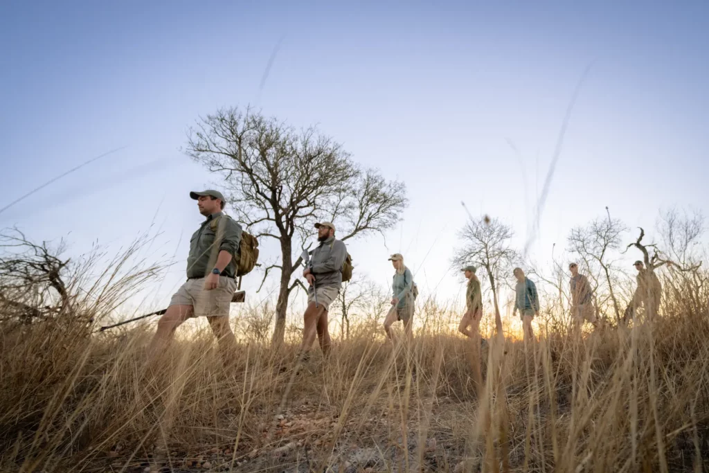 first-time safari