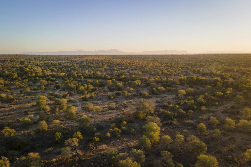 Klaserie Private Nature Reserve