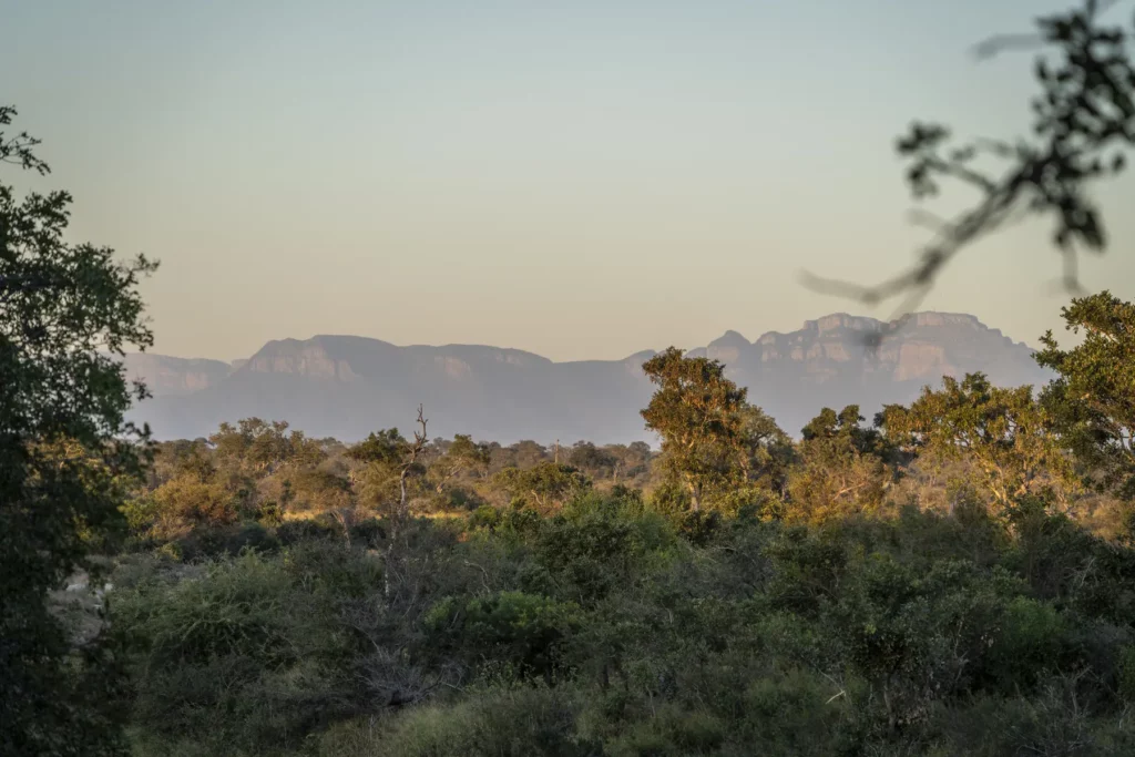 Balule Private Nature Reserve